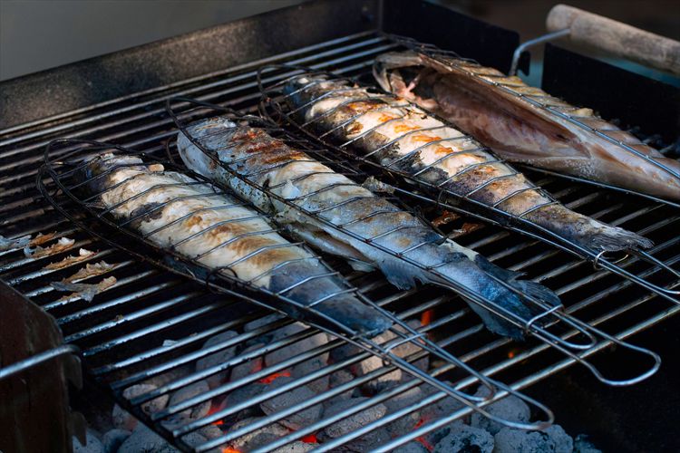 Fisch-Grill